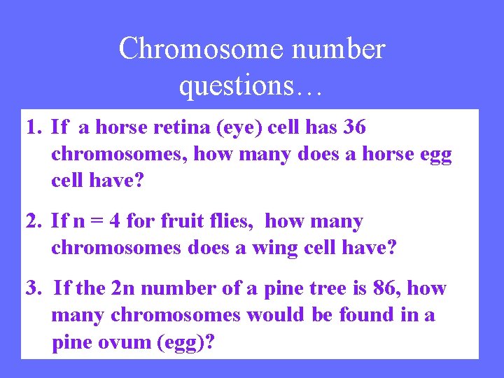 Chromosome number questions… 1. If a horse retina (eye) cell has 36 chromosomes, how
