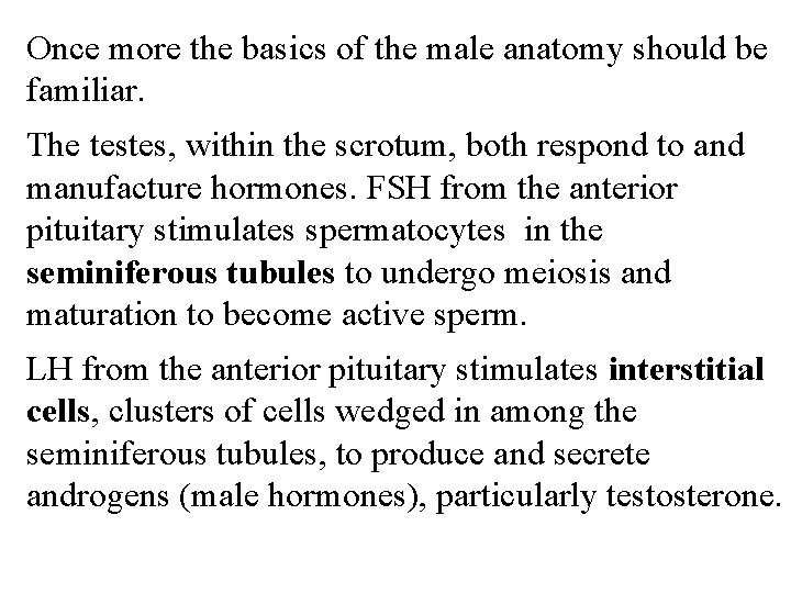 Once more the basics of the male anatomy should be familiar. The testes, within