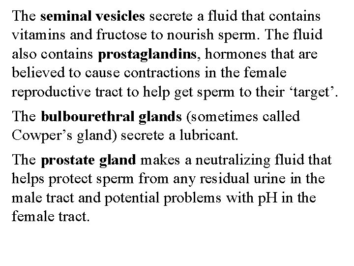 The seminal vesicles secrete a fluid that contains vitamins and fructose to nourish sperm.