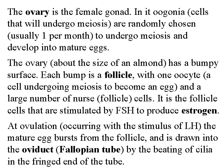 The ovary is the female gonad. In it oogonia (cells that will undergo meiosis)