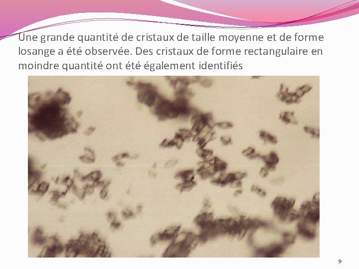  Une grande quantité de cristaux de taille moyenne et de forme losange a