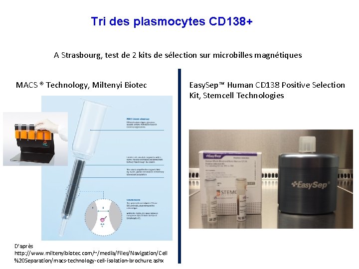Tri des plasmocytes CD 138+ A Strasbourg, test de 2 kits de sélection sur