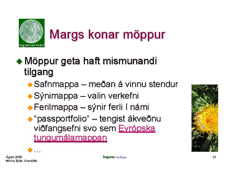 Margs konar möppur u Möppur geta haft mismunandi tilgang u Safnmappa – meðan á