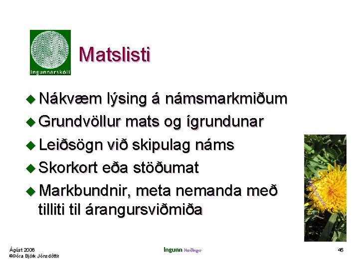 Matslisti u Nákvæm lýsing á námsmarkmiðum u Grundvöllur mats og ígrundunar u Leiðsögn við