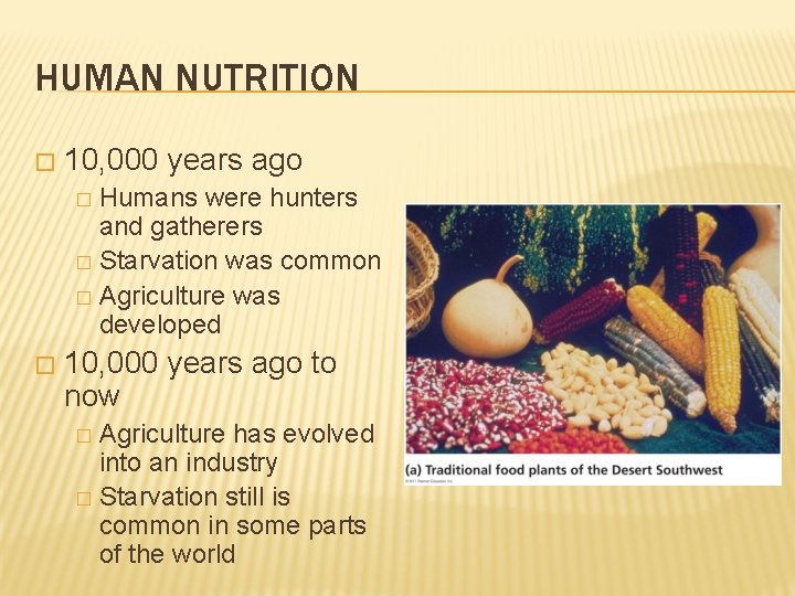 HUMAN NUTRITION � 10, 000 years ago Humans were hunters and gatherers � Starvation