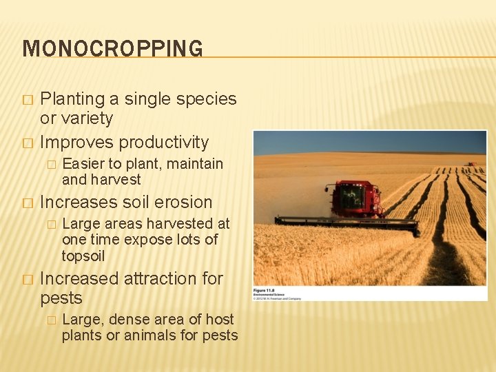MONOCROPPING � � Planting a single species or variety Improves productivity � � Increases