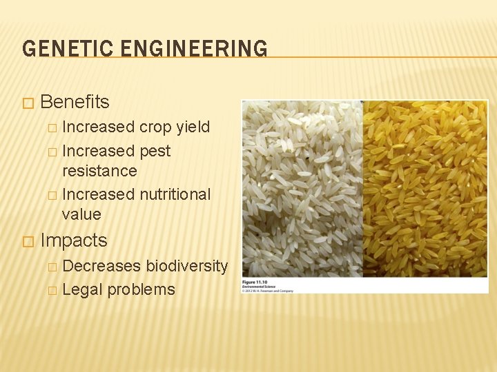 GENETIC ENGINEERING � Benefits Increased crop yield � Increased pest resistance � Increased nutritional