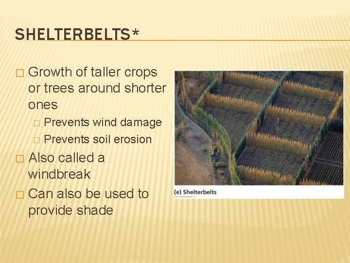 SHELTERBELTS* � Growth of taller crops or trees around shorter ones Prevents wind damage