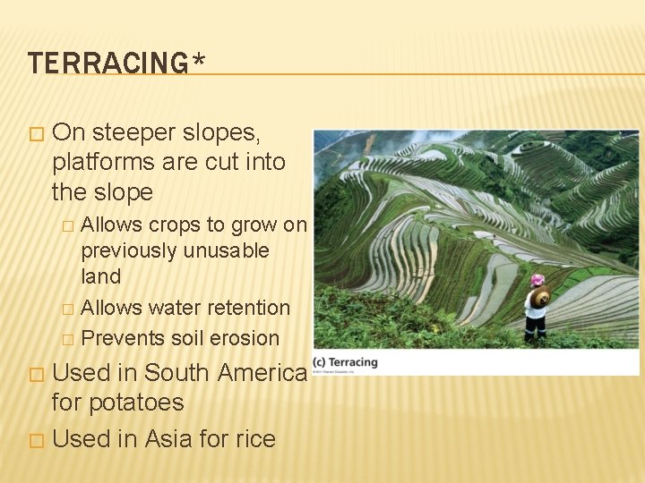 TERRACING* � On steeper slopes, platforms are cut into the slope Allows crops to