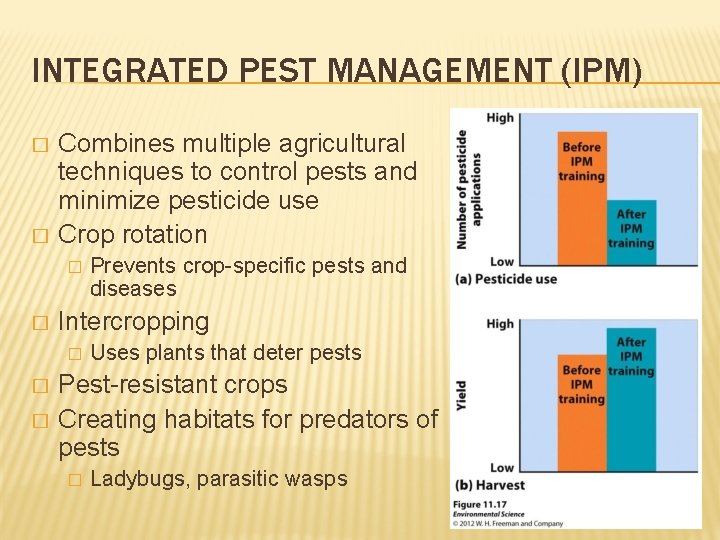 INTEGRATED PEST MANAGEMENT (IPM) � � Combines multiple agricultural techniques to control pests and