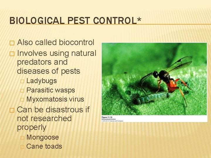 BIOLOGICAL PEST CONTROL* Also called biocontrol � Involves using natural predators and diseases of
