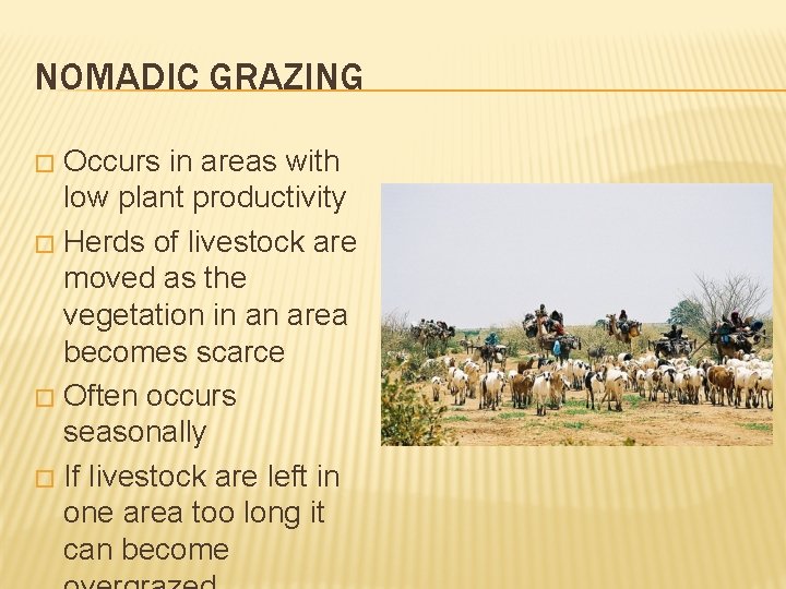 NOMADIC GRAZING Occurs in areas with low plant productivity � Herds of livestock are