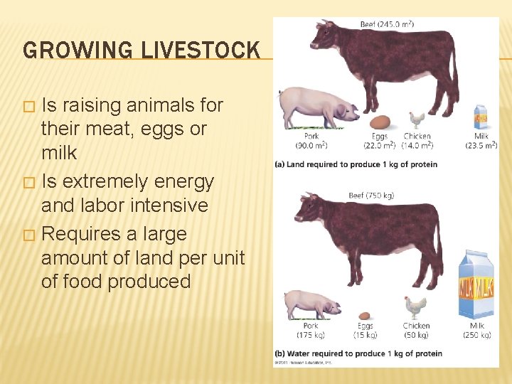 GROWING LIVESTOCK Is raising animals for their meat, eggs or milk � Is extremely