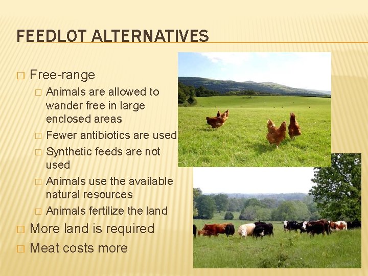 FEEDLOT ALTERNATIVES � Free-range � � � � Animals are allowed to wander free