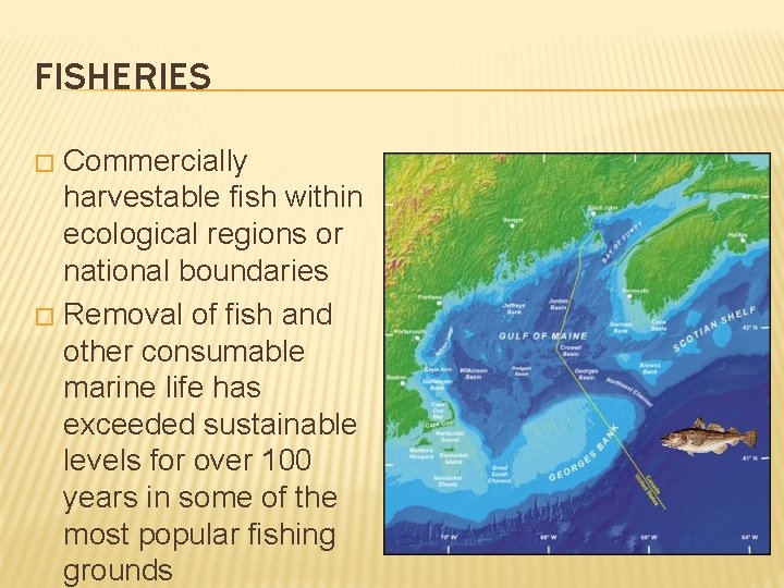 FISHERIES Commercially harvestable fish within ecological regions or national boundaries � Removal of fish