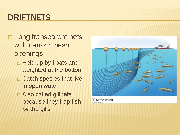 DRIFTNETS � Long transparent nets with narrow mesh openings Held up by floats and