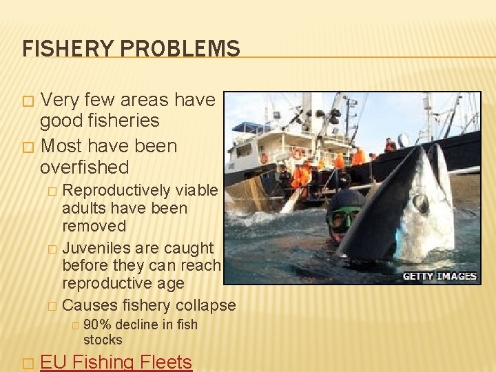 FISHERY PROBLEMS Very few areas have good fisheries � Most have been overfished �