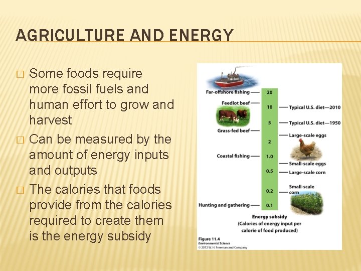 AGRICULTURE AND ENERGY � � � Some foods require more fossil fuels and human