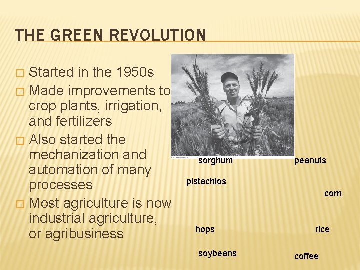 THE GREEN REVOLUTION Started in the 1950 s � Made improvements to crop plants,