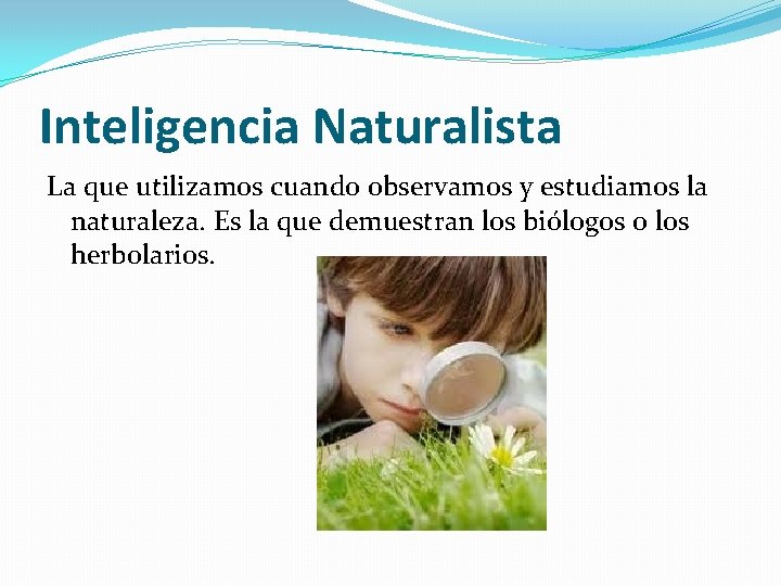 Inteligencia Naturalista La que utilizamos cuando observamos y estudiamos la naturaleza. Es la que