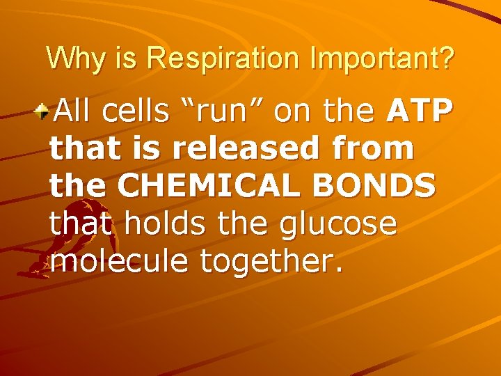 Why is Respiration Important? All cells “run” on the ATP that is released from