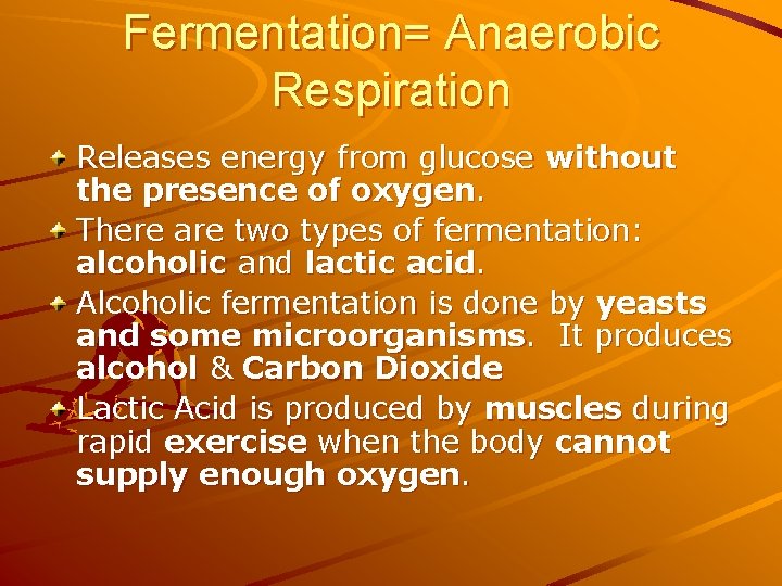 Fermentation= Anaerobic Respiration Releases energy from glucose without the presence of oxygen. There are