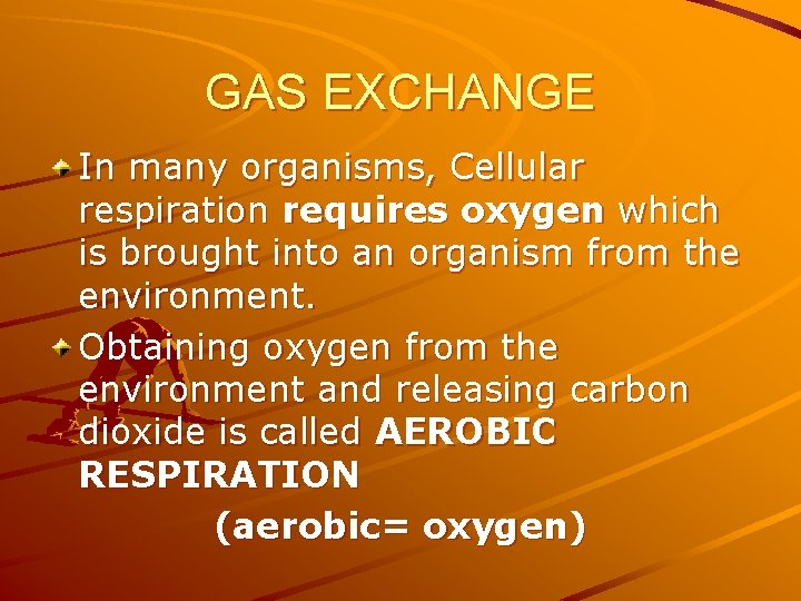 GAS EXCHANGE In many organisms, Cellular respiration requires oxygen which is brought into an