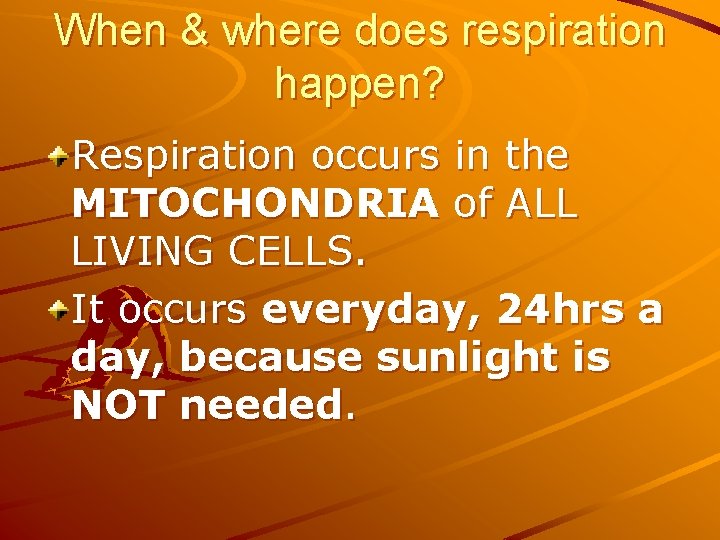 When & where does respiration happen? Respiration occurs in the MITOCHONDRIA of ALL LIVING