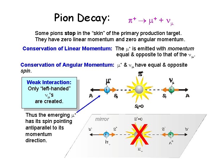 Pion Decay: + + + Some pions stop in the “skin” of the primary