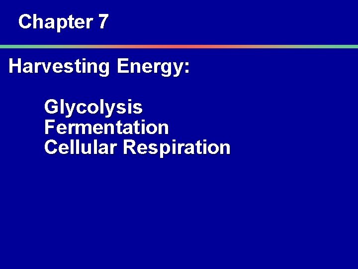 Chapter 7 Harvesting Energy: Glycolysis Fermentation Cellular Respiration 