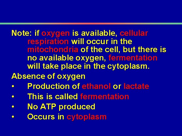 Note: if oxygen is available, cellular respiration will occur in the mitochondria of the