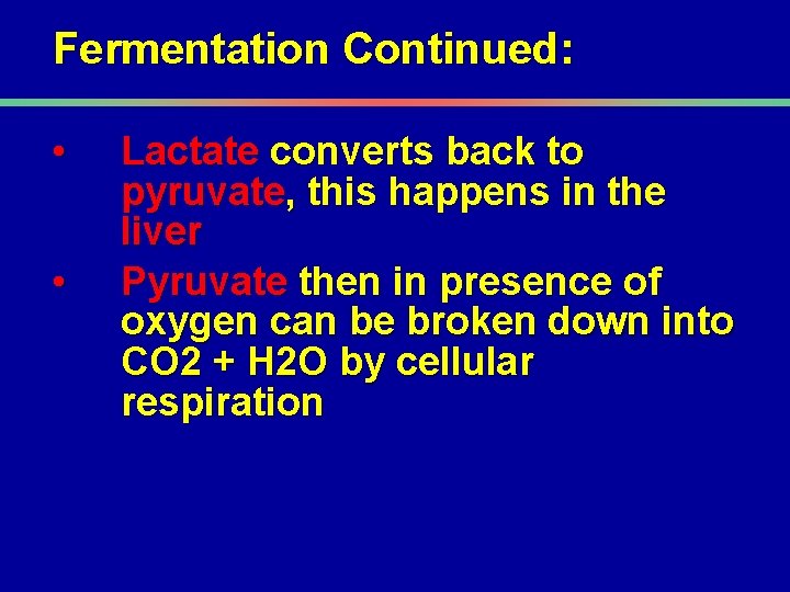 Fermentation Continued: • • Lactate converts back to pyruvate, this happens in the liver