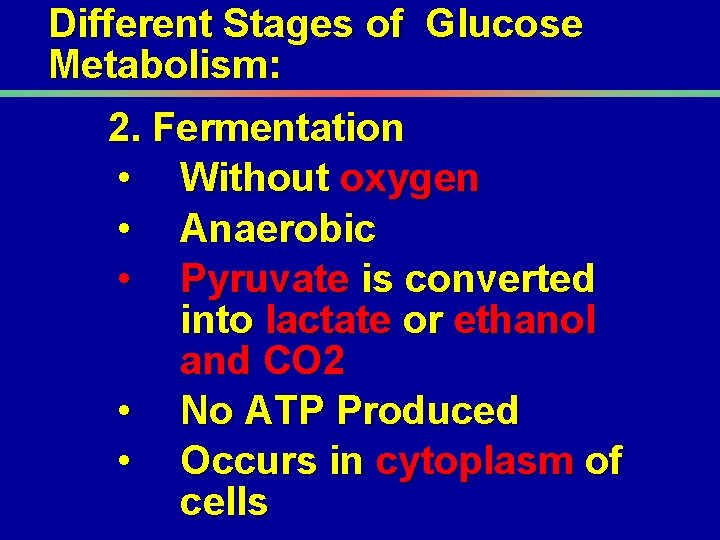 Different Stages of Glucose Metabolism: 2. Fermentation • Without oxygen • Anaerobic • Pyruvate