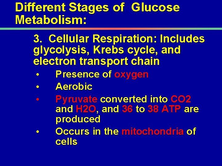 Different Stages of Glucose Metabolism: 3. Cellular Respiration: Includes glycolysis, Krebs cycle, and electron