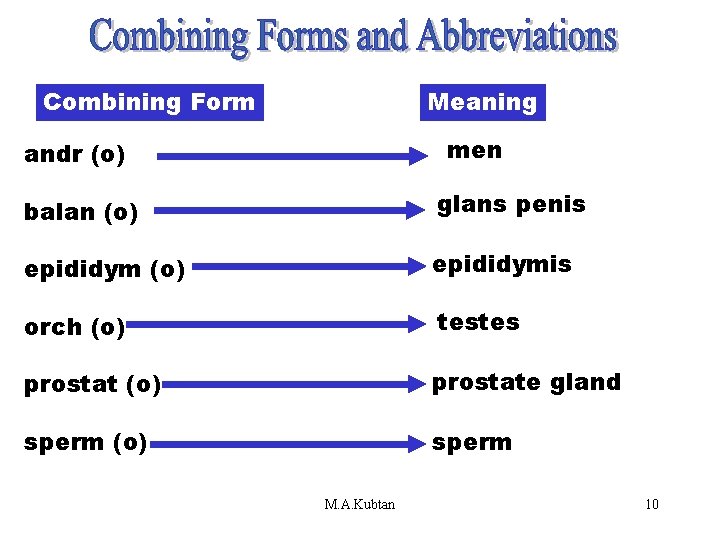 Combining Forms & Combining Form Meaning Abbreviations (andr) men andr (o) balan (o) glans