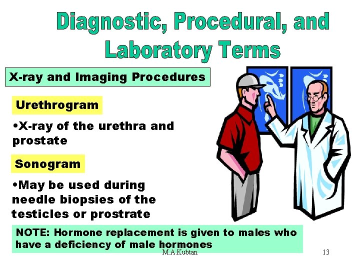 X-Ray and Imaging X-ray and Imaging Procedures Urethrogram • X-ray of the urethra and