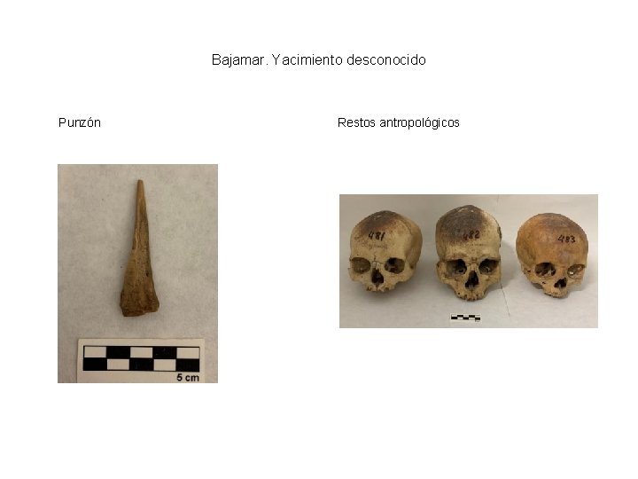Bajamar. Yacimiento desconocido Punzón Restos antropológicos 