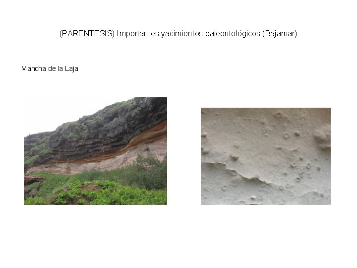 (PARENTESIS) Importantes yacimientos paleontológicos (Bajamar) Mancha de la Laja 