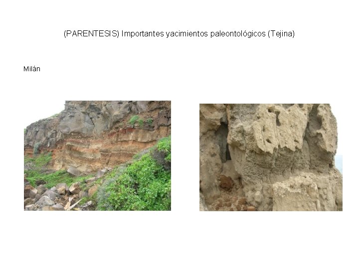(PARENTESIS) Importantes yacimientos paleontológicos (Tejina) Milán 