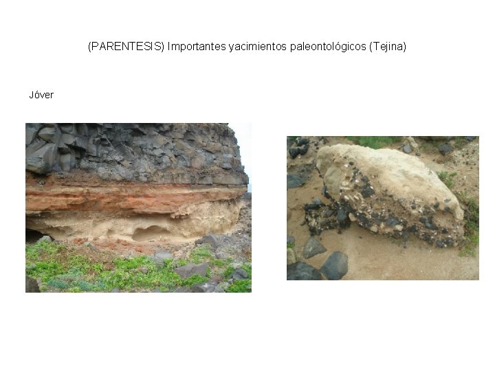(PARENTESIS) Importantes yacimientos paleontológicos (Tejina) Jóver 