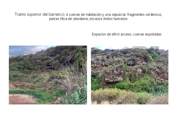 Tramo superior del barranco: 4 cuevas de habitación y una sepulcral: fragmentos cerámicos, piezas