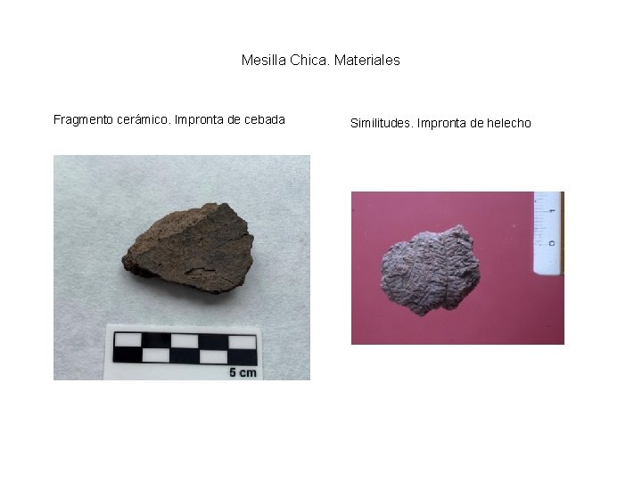 Mesilla Chica. Materiales Fragmento cerámico. Impronta de cebada Similitudes. Impronta de helecho 