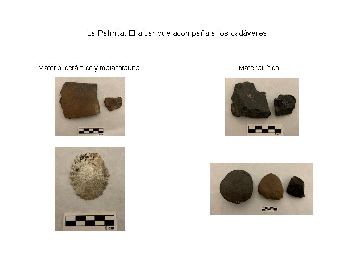 La Palmita. El ajuar que acompaña a los cadáveres Material cerámico y malacofauna Material