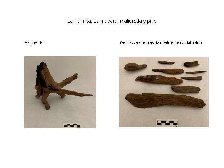 La Palmita. La madera: maljurada y pino Maljurada Pinus canariensis. Muestras para datación 