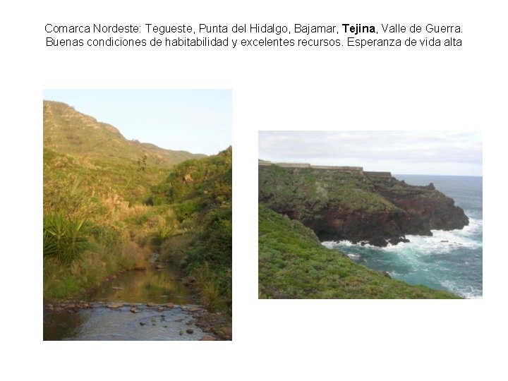 Comarca Nordeste: Tegueste, Punta del Hidalgo, Bajamar, Tejina, Valle de Guerra. Buenas condiciones de