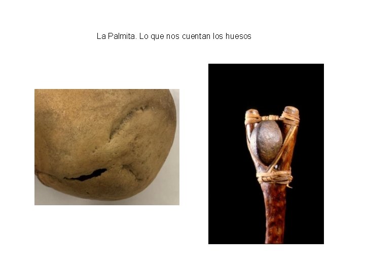 La Palmita. Lo que nos cuentan los huesos 