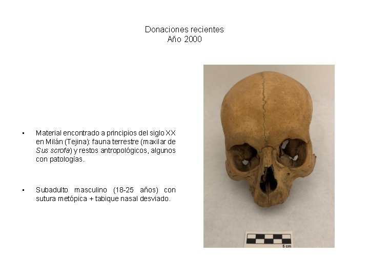 Donaciones recientes Año 2000 • Material encontrado a principios del siglo XX en Milán