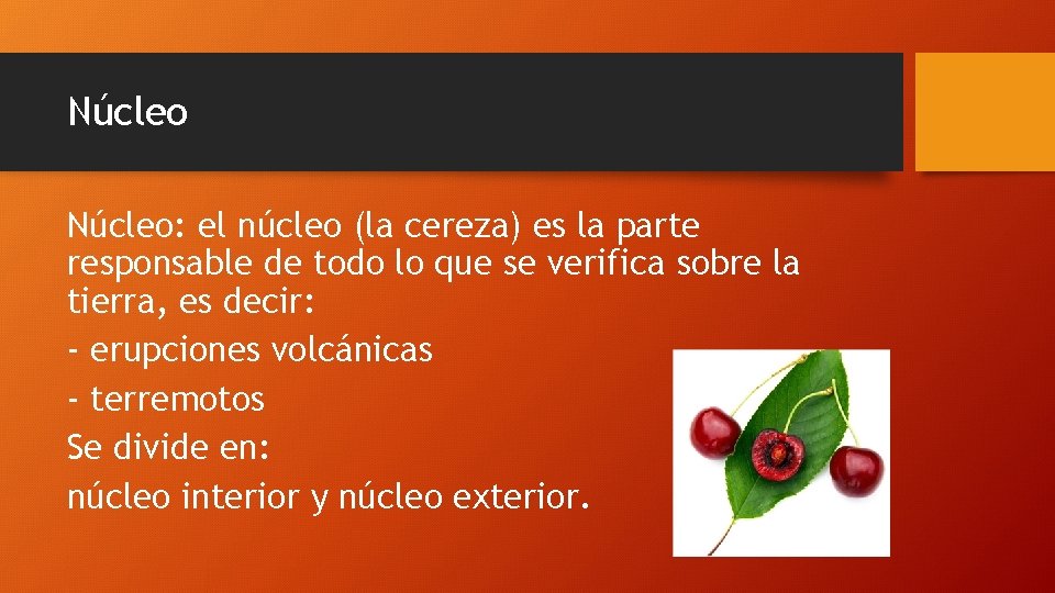 Núcleo: el núcleo (la cereza) es la parte responsable de todo lo que se