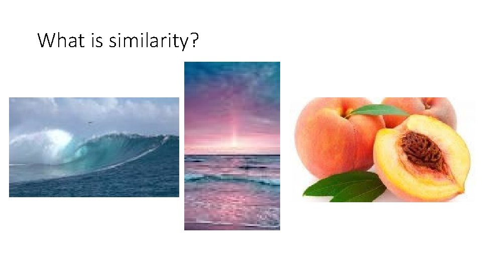 What is similarity? 