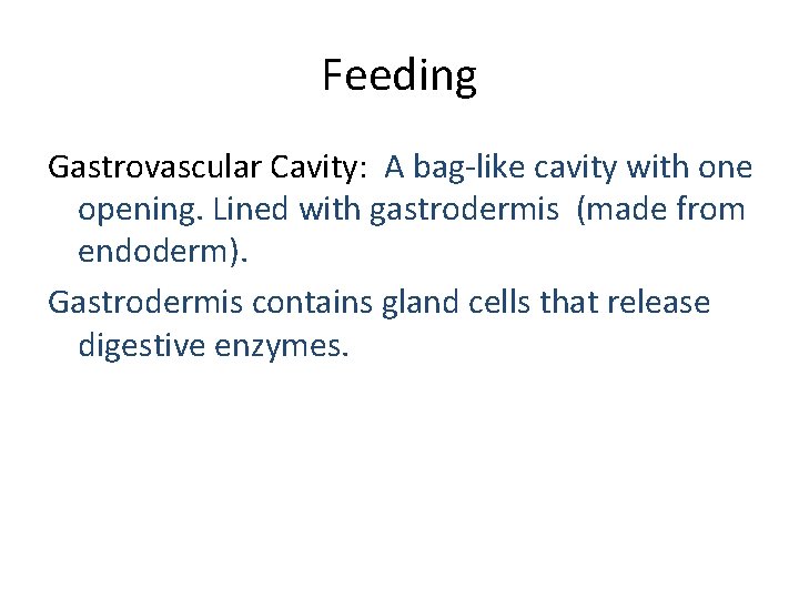 Feeding Gastrovascular Cavity: A bag-like cavity with one opening. Lined with gastrodermis (made from